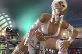 终极死或生4：极致格斗体