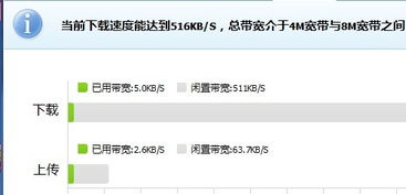 什么是闲置宽带？全面解析其定义与用途