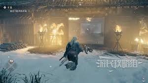 《浪人崛起全面探索与全收集指南》
