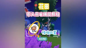 心动小镇:苍头燕雀出现位置详解