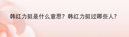 力挺到底：解读网络热词“力挺”的真正含义与应用场景探析