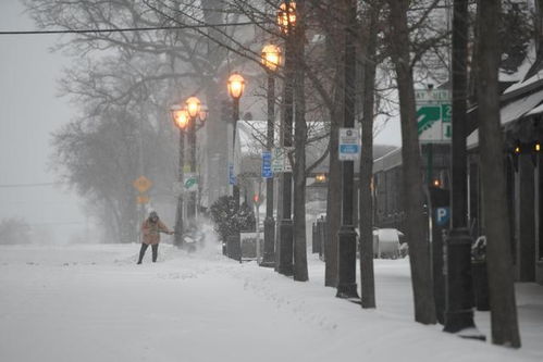 2024深圳寒冬：这座南方都市为何难见雪花飘落？