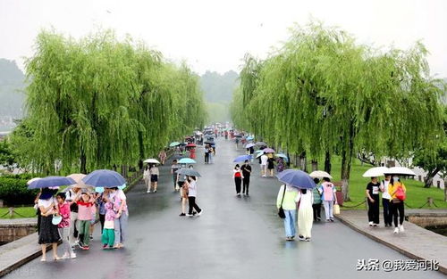 杭州梅雨季：潮湿季节里的诗意生活指南