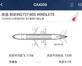 国航CA431航班所搭载的机型