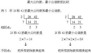 456456第二大秘密约数！