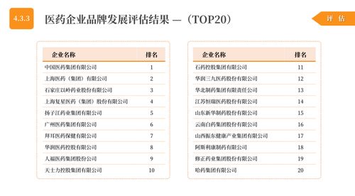 探索社会经济效益：关键指标与影响