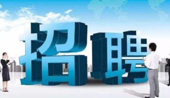人才中介：如何成为职场精英的幕后推手，打造双赢未来