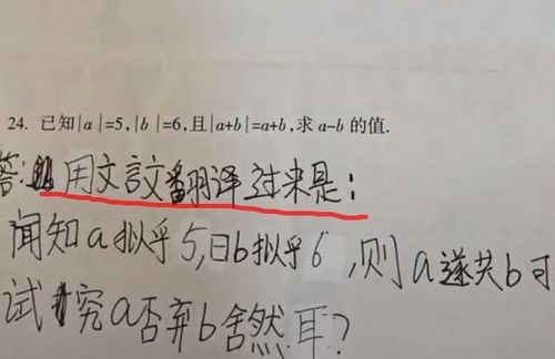 东北那旮旯：母与子的温情故事