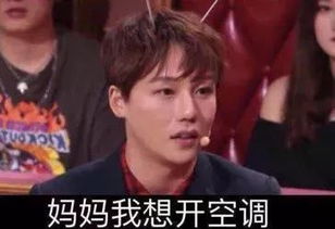 东北那旮旯：母与子的温情故事