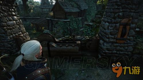 《巫师3》狼皮任务速通攻略：高效获取狼皮方法