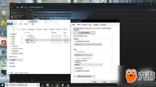 《绝地求生》N卡滤镜高效开启与最佳设置参数指南