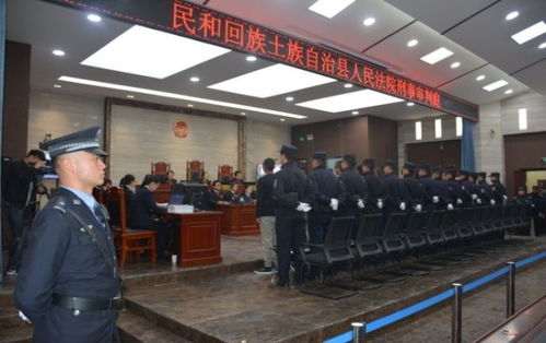 葫芦岛商行马玉怀被判有期徒刑年限揭晓