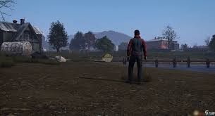DayZ游戏攻略：人物状态解析与伤病治疗技巧