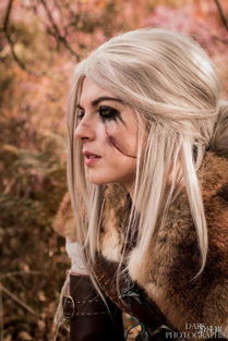 《巫师3》美女角色排行榜