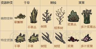《饥荒》高效农场布局与种植秘籍：打造自给自足的生存绿洲