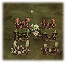 《饥荒》高效农场布局与种植秘籍：打造自给自足的生存绿洲