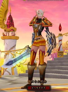 WOW魔兽世界圣骑士幻化推荐：外观惊艳的圣骑士幻化方案