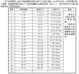 详解12寸尺寸规格：实用对照与应用场景