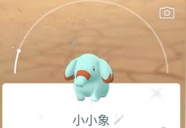 《探寻宝可梦GO中的小小象：它会成为你的最佳伙伴吗？》