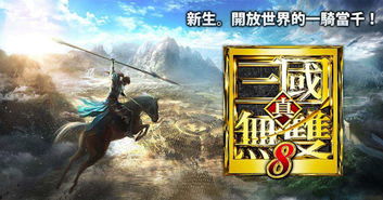《真三国无双8：全章节通关秘籍与战斗技巧大全》