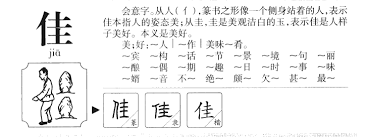 世佳的含义及用法解释