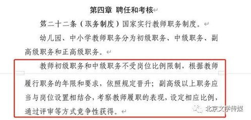 深度解析：'评述'一词的多元意义与在网文世界中的魅力