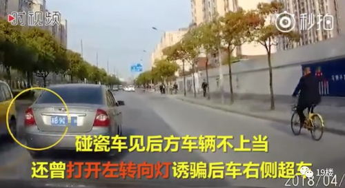 东莞新东泰事件引关注：深度解析背后真相与影响