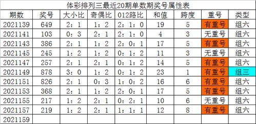 解锁尺码奥秘：一码至五码，你真的选对了吗？