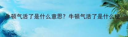 ！'ZD'究竟是什么意思？