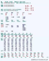 八字中官财解读：探秘命运中的财富与权威密码