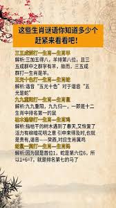 银蛇狂舞的含义探析