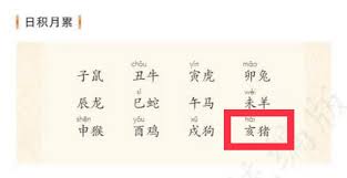 生肖观者如云中的正确答案