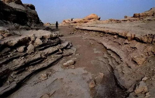 罗布泊沙民：传说还是现实？