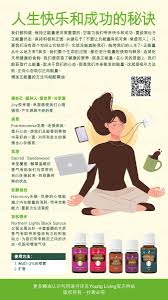 无需下载，直抵正能量网站主页，探索积极内容新体验！