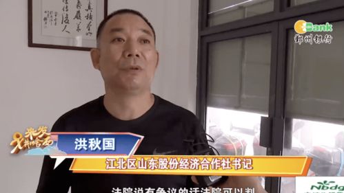 老韩小伟的东北 origins 深度解析