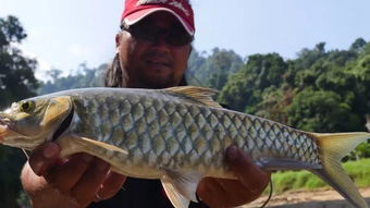 魔兽世界：探寻最佳钓点，捕获新鲜白鳞鲑鱼与大鱼秘籍