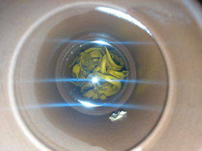 “西洋器具知多少?”