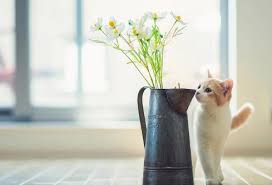 500个炫酷猎人名字大搜罗：探险与狩猎的传奇代号精选！
