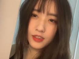 SARFF含义解析：探索未知缩写的真正意义