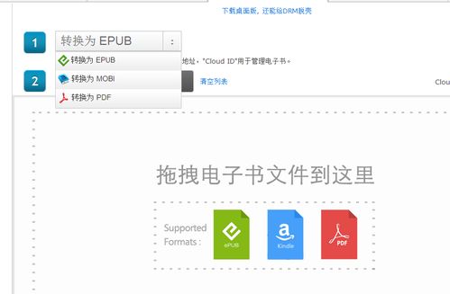 深入解析：CY网站的真实面貌与用途
