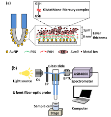 twoweeksamp 39与two-week:细微差别大解析