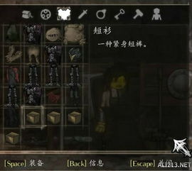 《盐和避难所》深度解析：全誓约魔法、武器与誓约宝藏终极指南
