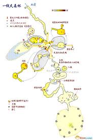 黑暗之魂2：全面图文攻略，解锁隐藏任务与BOSS战秘籍