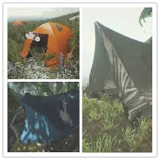 深度剖析《森林》剧情线索：原创解读，影片脉络与隐藏细节