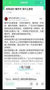 探索闽南话中的“林被”：揭开隐藏的地域文化密码