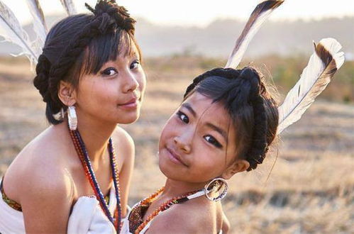 《超清国语版大片免费高速下载通道》