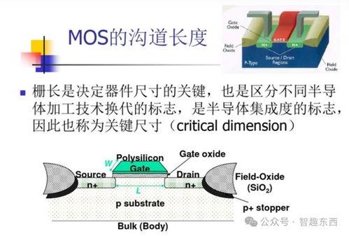 ！外格：你个性中隐藏的魅力密码