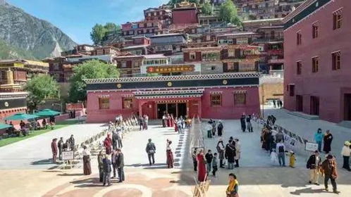 四川XXXXXLMEDJYF的发展策略与实践