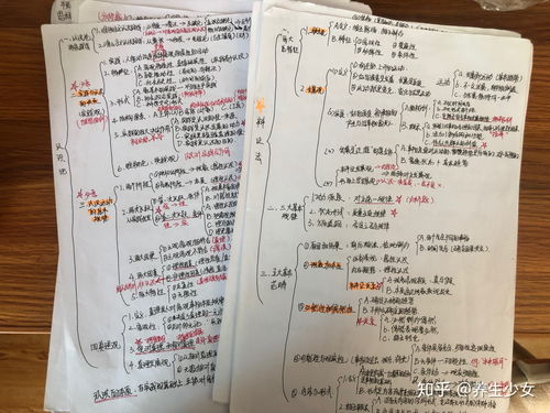 肖四肖八：你不知道的隐藏含义