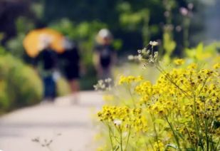 一水间词语含义及用法详解